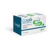 COLIGAS FAST TISANA 20 BOLSITAS